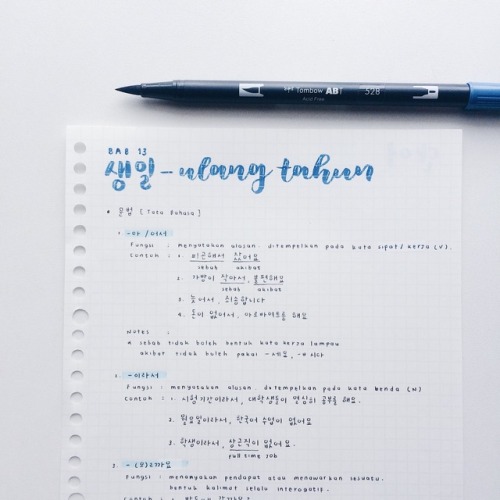 shofiasjournal: wow, it’s been a while and i’m back with my korean notes again!it’