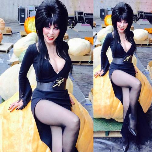 I’m so thankful for Elvira! #queenofhalloween #elvira #elviramistressofthedark #emotd #elviram