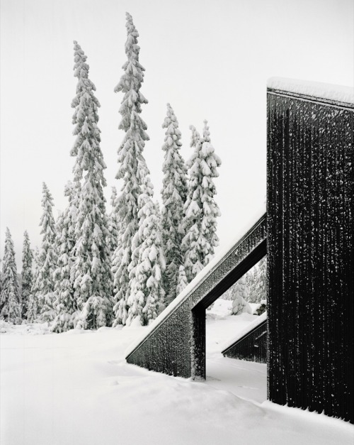 goodwoodwould: Good wood - another wild winter retreat, this time in the depths of Norway. A pale po