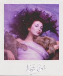 allmyinstincts:Kate Bush – Hounds of Love polaroids