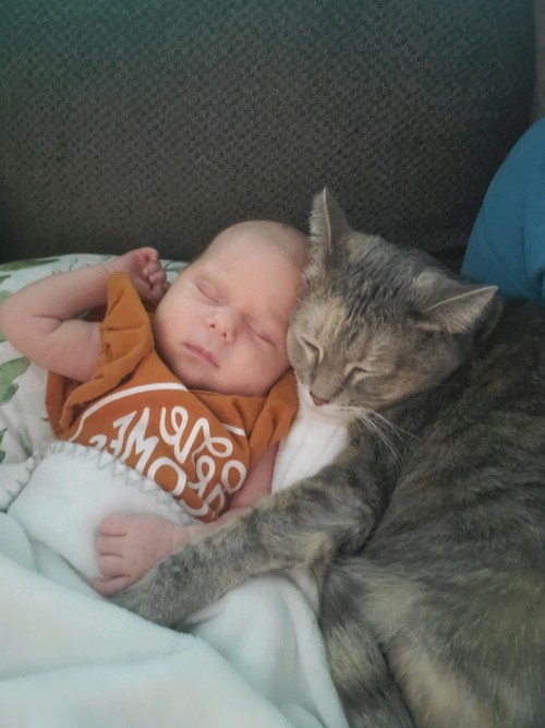 My wife just sent me this picture of our daughter and cat. I’m crying at work!