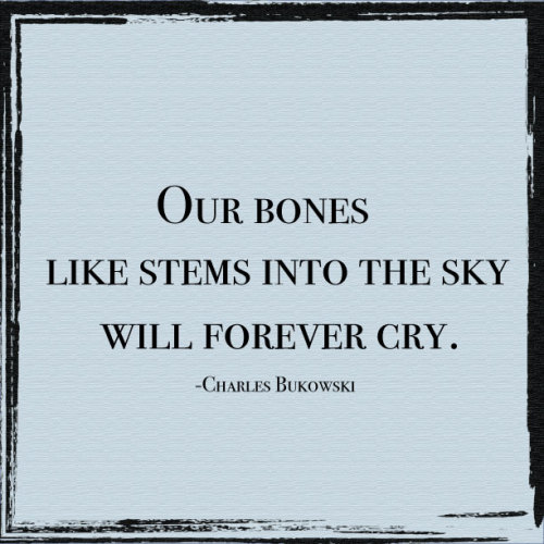 Quotes: Charles Bukowski