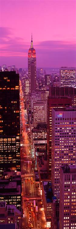 omgshowmetheworld:   Fifth Avenue Midtown Manhattan   
