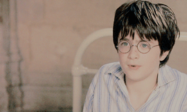olympius: “A breeze ruffled the neat hedges of Privet Drive, which lay silent and tidy under the ink