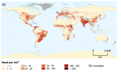 mapsontheweb:Population density of cattle. I just knew there were cattle in the sea