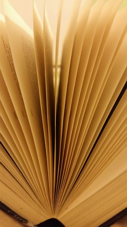 gazingdream: I looked down and my book looked like this.