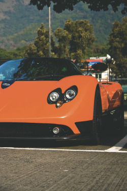 artoftheautomobile:  Pagani Zonda F (Credit: