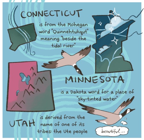 biophonies:ah, i’m so bad at posting here. acknowledging this Day of Mourning from the lands of Kiikaapoi, Peoria, Potawatomi, Myaamia & Ochethi Sakowin people, aka Chicago, derived from a native word for garlic (mmm…) which is really suitable