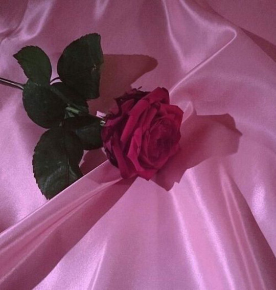 Soft babey, a playlist by Ash on Spotify