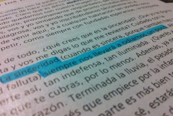 hachedesilencio:  “La sinceridad(cuando es sincera, porque también hay una sinceridad falluta)siempre nos llevará a odiarnos un poco. “- Mario Benedetti. 