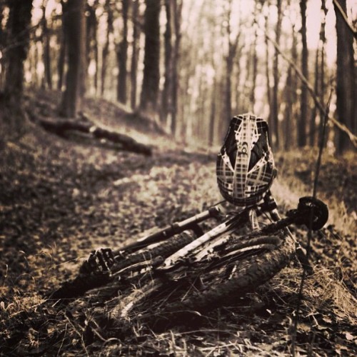 timnorris: Last pic for today #mtb #dslr #mountainbike