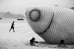31art: PLASTIC BOTTLE FISH SCULPTURES Imagine you were running along the beach and you came across 3 giant plastic bottle fish sculptures. What would you think? Well, if you were in Botofogo beach in Rio de Janeiro, Brazil that’s just what you would