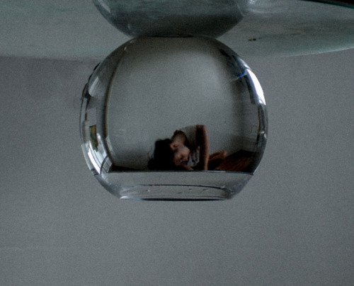 nevver: Living in a fishbowl, Dana Trippe