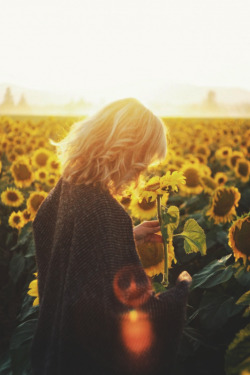 joel:Sunflowers