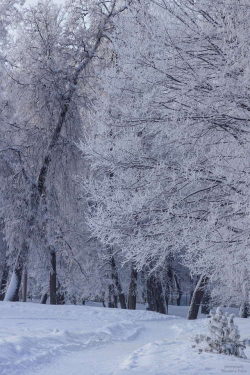 Русская зима / Russian Winter