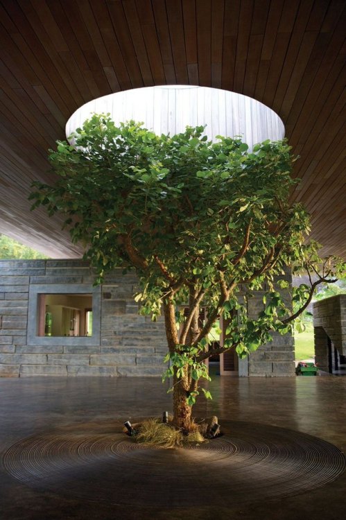 sabanasblancasuniverse:  @archpics: Gota House by Sforza Seilern Architects.  