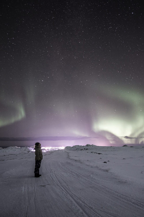 earthyday:  Look up and wonder…  by Navagiak Photography 