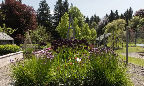 Murray’s Garden
