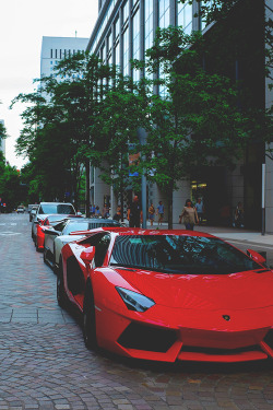 noahsecchi:  City Avi | © | via NoahSecchi 