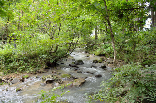 白山市手取峡谷  綿ヶ滝