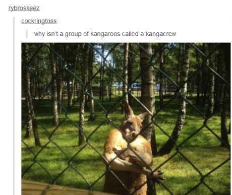 Gaha!  XD