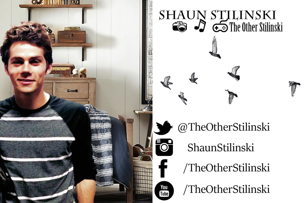 F A C T S         — Name: Shaun Stilinski        — Age: 18       