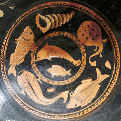 lionofchaeronea:A dolphin and fish, surrounded by various forms of marine life.  Tondo of an Ap