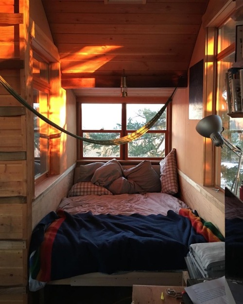 wild-cabins:Foster Huntington