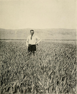 1bohemian:   Macdonald, William, Dry Farming, 1911 Dry-Land Wheat in Utah, 1911 