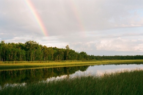 Film from the cabin