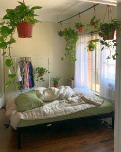 Porn celestialyouth:still want more plants tbh photos