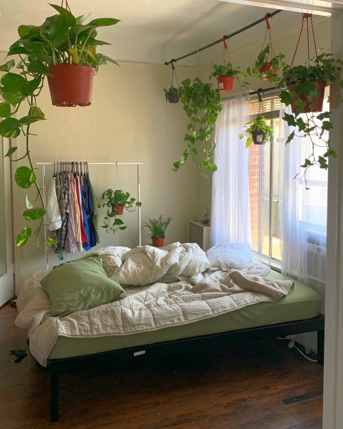 Porn photo celestialyouth:still want more plants tbh