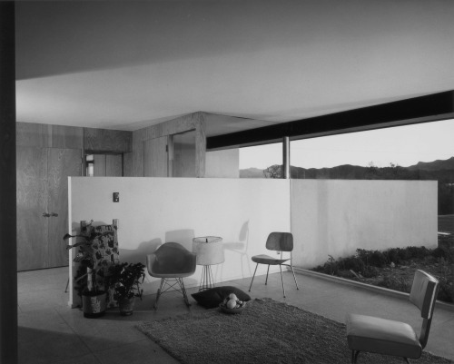 jonasgrossmann: richard neutra… mcsorely house, thousand oaks ca, photo julius shulman, 1961 