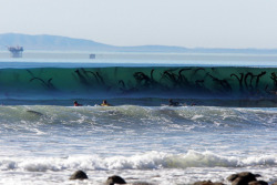 sixpenceee:Although it looks like a sea monster army is about to feast on some surfer guts, those “tentacles” are in fact just seaweed along Innsmouth Beach in New England.