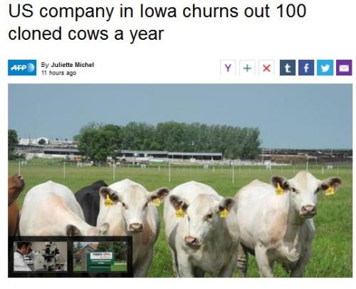 antinwo:  http://news.yahoo.com/us-company-iowa-churns-100-cloned-cows-054827926.html;_ylt=AwrBJR94HbBTlXwARA7QtDMD ‘Trojan Gene’ Could Wipe Out Fish.. Spider-goat to make silk stronger than Kevlar..