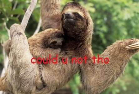 whyyesibelieveso:Yeah, no, don’t.