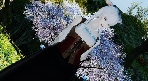ffxiv-screenshot-bin