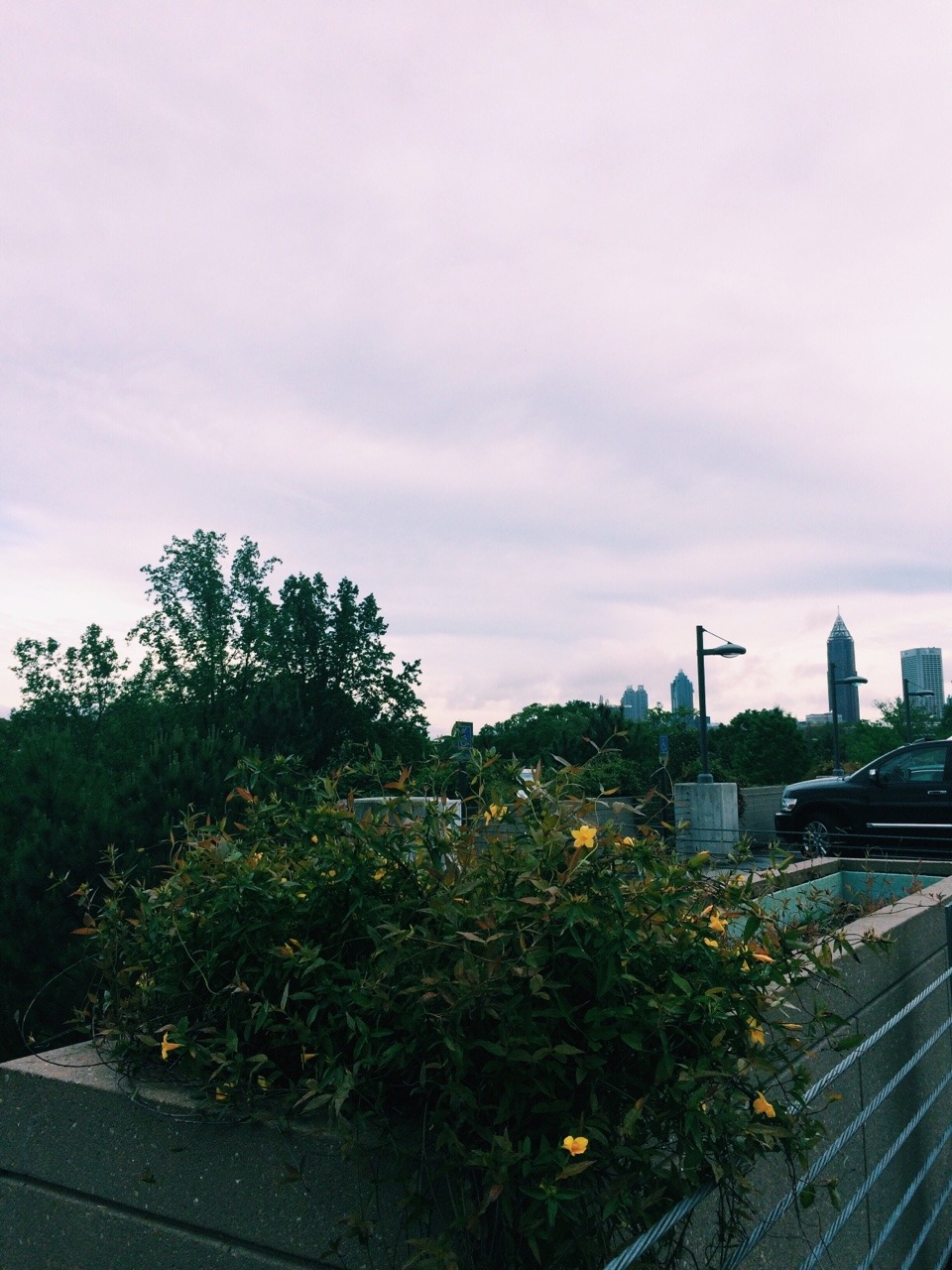 angeneal:  cook parking deck, cool view
