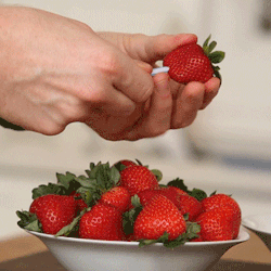 yourstruly-b:  foodandwine:  Whether you’re picking your own, gathering bushels from the farmers’ market or buying in bulk from the grocery store, strawberries by the bowlful are what’s for breakfast, lunch and dinner this time of year (or at least