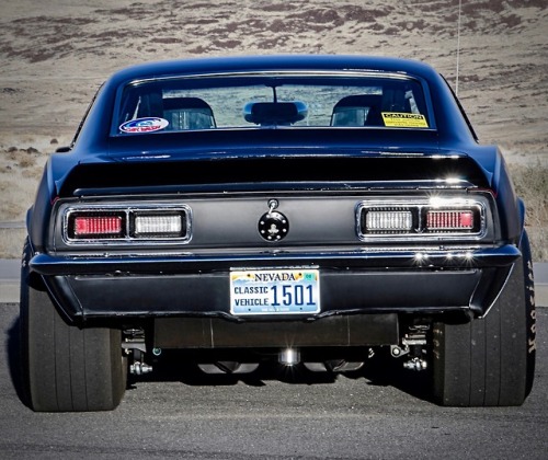 utwo:  1968 Prostreet Camaro© steve temple