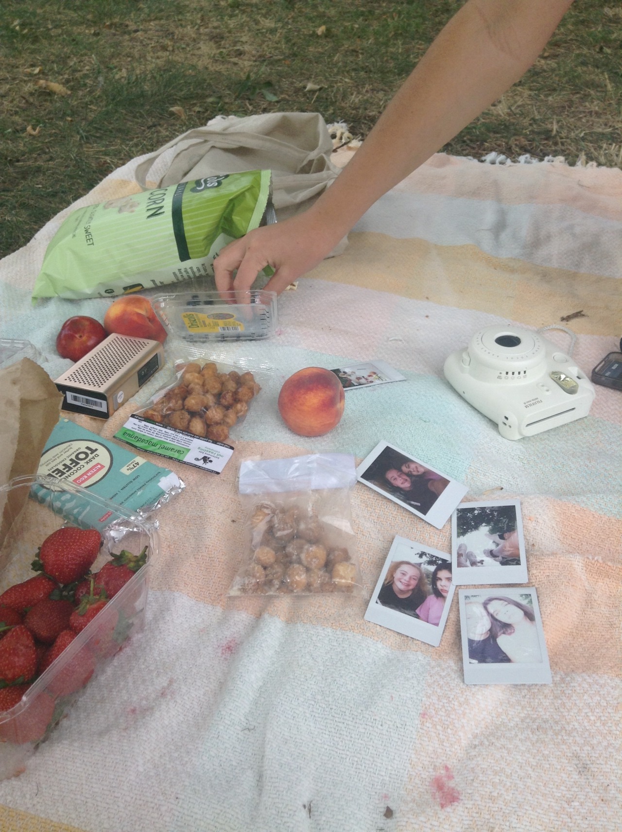 rosepout:  a picnic date I forgot we had 