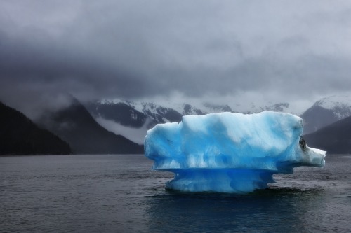 Iceberg Blueby Mitch Seaver