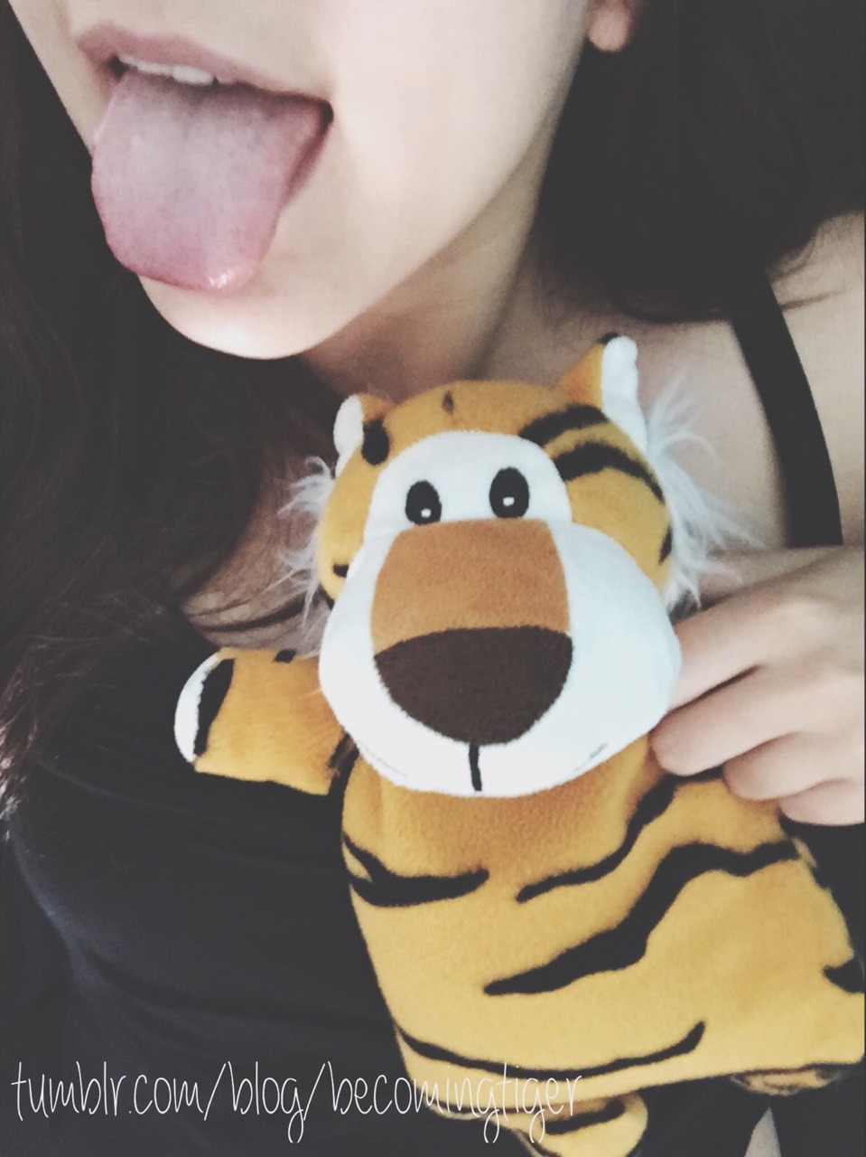 becomingtiger:  Good morning from little tiger and me! We hope you all have a lovely