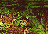 whannell-leigh:  Tomb Raider 1997-2013