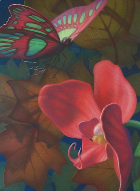 Butterfly and Orchid with Leaves. Pastel on paper, 41.5″x29.5″, 2008, Leonard Koscianski.