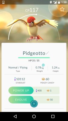 damaximosguyart:   threemarshmallows:  winterbramble:  oh my god I’m crying with laughter. My idiot sons  everyone please look at my pidgeottos         bigger borb 