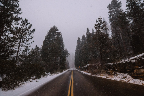 jasonincalifornia:  Snowy Sequoia Roads  Instagram////Prints 