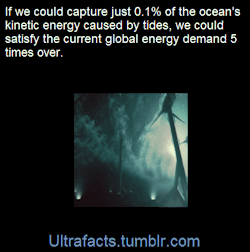 ultrafacts:     The IEA predicts that by