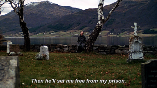 autumn sonata, 1978