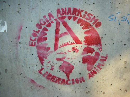 “Ecological Anarchism / Animal Liberation”Stencil seen in Santiago, Chile